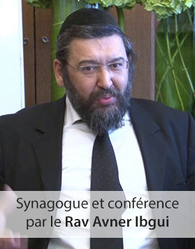 rav-ibgui